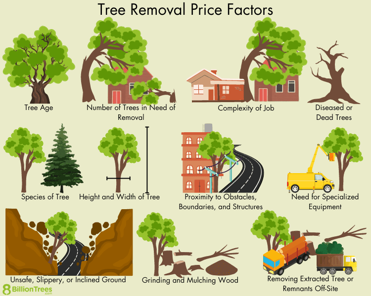 tree removal price factors