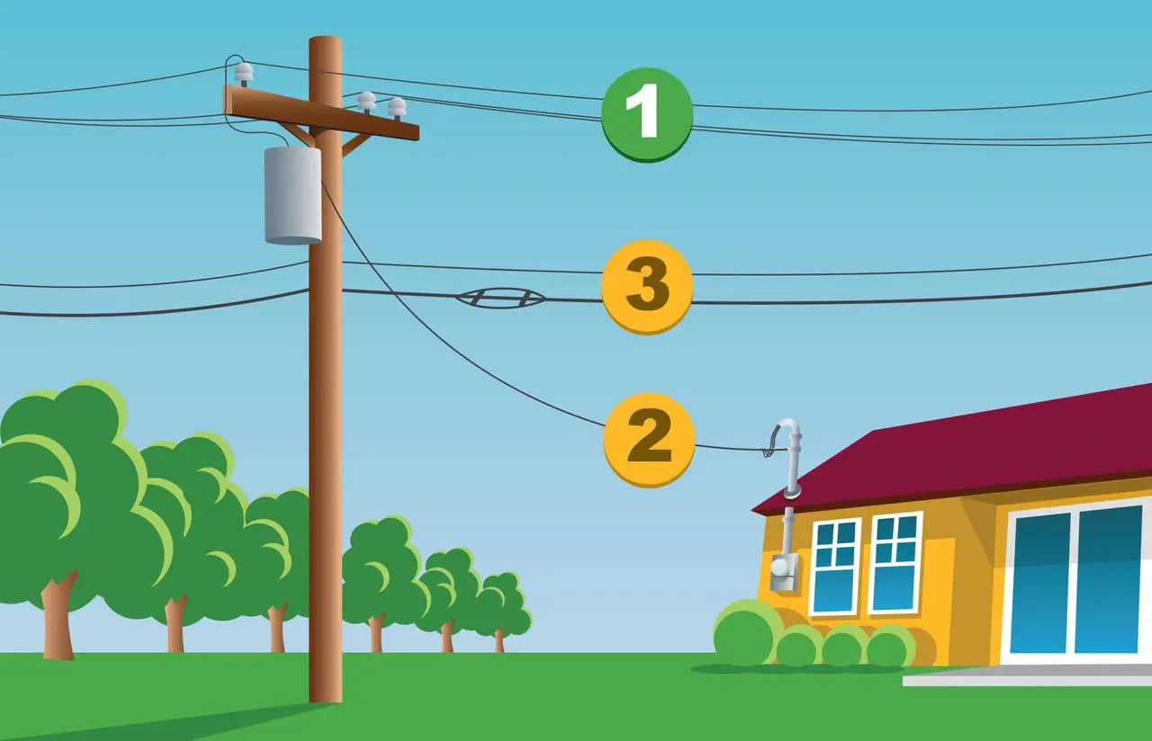 Protect Your Home's Power: Essential Tips for Tree Trimming Near Power Lines