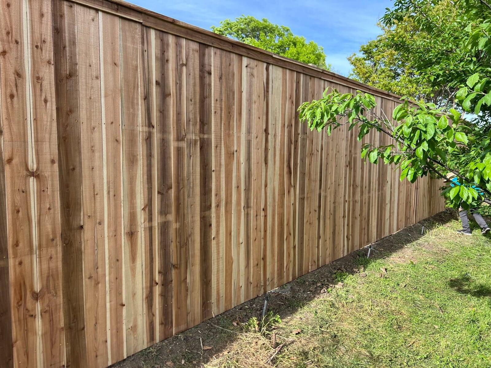 fence replacement