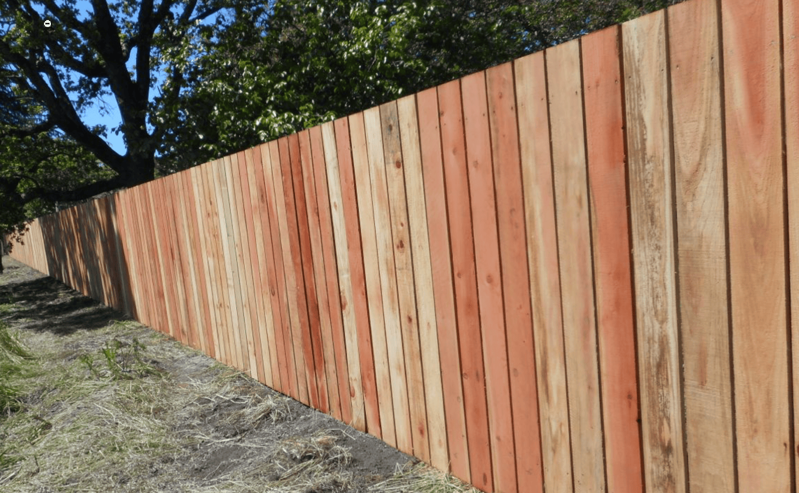 flat top cedar fence