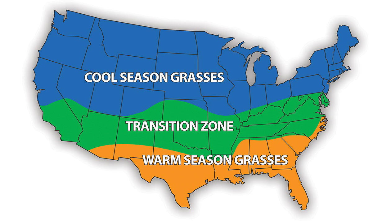 sod grass selection based on the climate and geo locations