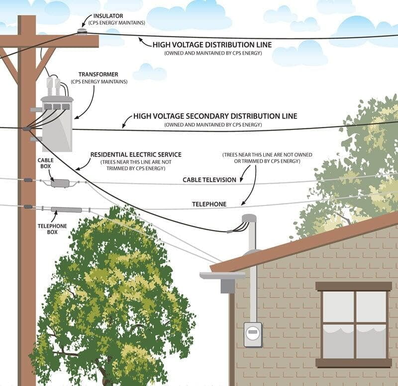 The Impact of Location and Accessibility on Tree Removal Costs